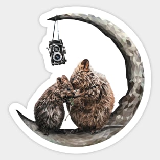 Quokka Sticker